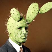 Lord Lee So Cacti's - Steam avatar