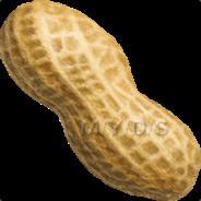 Peanut's Stream profile image