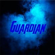 Guardian's Stream profile image