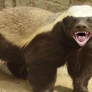 Honey Badger's Stream profile image
