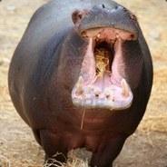 AngryPurpleHippo's Stream profile image