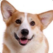 ChiCheN's Stream profile image