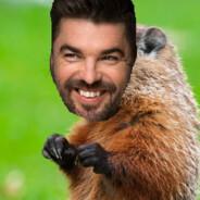 Louis-Francois Marmotte's Stream profile image