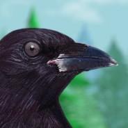Pigeons > 兄弟罗斯's Stream profile image