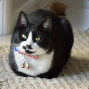 meeblelouise's - Steam avatar