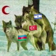 жёсткий сзади's Stream profile image