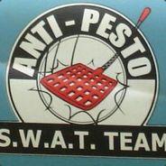 Anti-Pesto's - Steam avatar