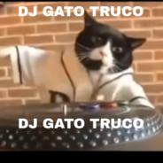 GatoTruco's - Steam avatar