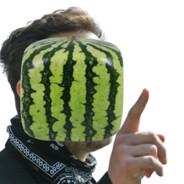 squaremelon's Stream profile image