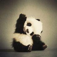 Flingeting's Stream profile image