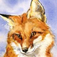 Nort Fox's - Steam avatar