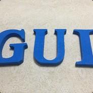 G U I's - Steam avatar