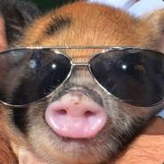 Piggies Go Moo's Stream profile image