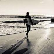 Dr. Laimer's Stream profile image