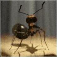 Telnor's Stream profile image