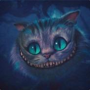 botik's Stream profile image