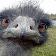 Eageake's - Steam avatar