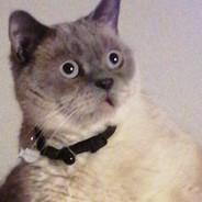 rgzthjnfsdjhnrtťžzwhgz's Stream profile image