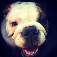 BullyShit's Stream profile image