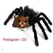 PooSpider ✚'s - Steam avatar