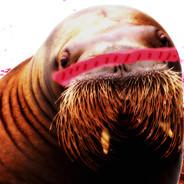 ROSS THE AMAZING WALRUS's Stream profile image