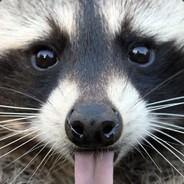 MachoNachos's Stream profile image