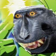 Macaco sapo's Stream profile image