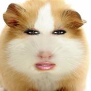 Topsi's Stream profile image