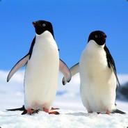 FrostByte's - Steam avatar