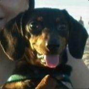 Tom crais's Stream profile image