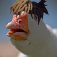 John1323's Stream profile image