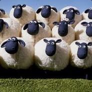 Sheep Herder's Stream profile image