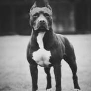 Lobkova_Vosh's Stream profile image