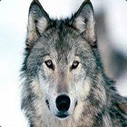 TheWolfPuppy's - Steam avatar