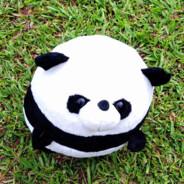 Panda's - Steam avatar