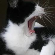 Zarock's Stream profile image