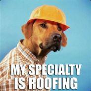 Roofing's Stream profile image