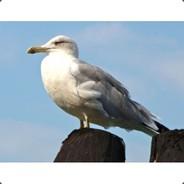 flaviustam's Stream profile image