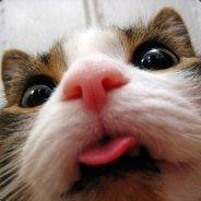 F33DER's Stream profile image