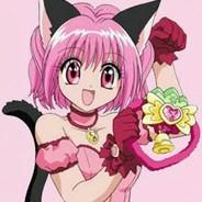 XEVER | Provenzal's Stream profile image