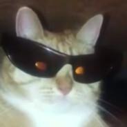 serzhe1's - Steam avatar