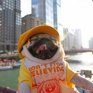 Royce's - Steam avatar