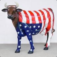 American Cow King's Stream profile image