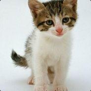 The Little Cat's - Steam avatar