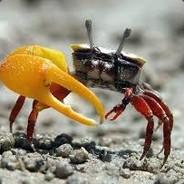 Mr Krabs's - Steam avatar