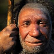 Homo NEANDERTHALENSIS's Stream profile image