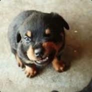 Perrito Malvado's Stream profile image