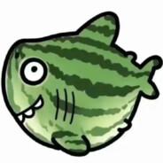 Shark melon's Stream profile image