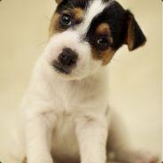 Oni's Stream profile image
