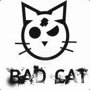 Don Gato's Stream profile image